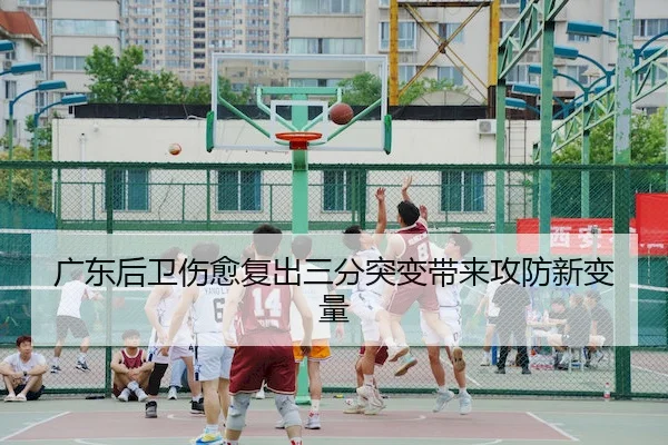 广东后卫伤愈复出三分突变带来攻防新变量 | AYX